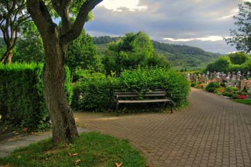 家系カウンセリング